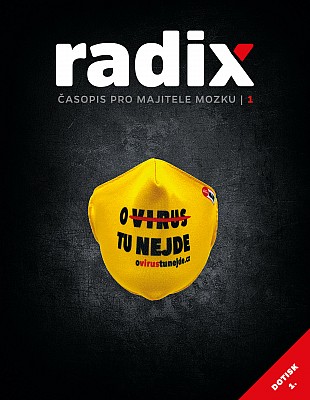 radix 1