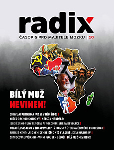 radix 10